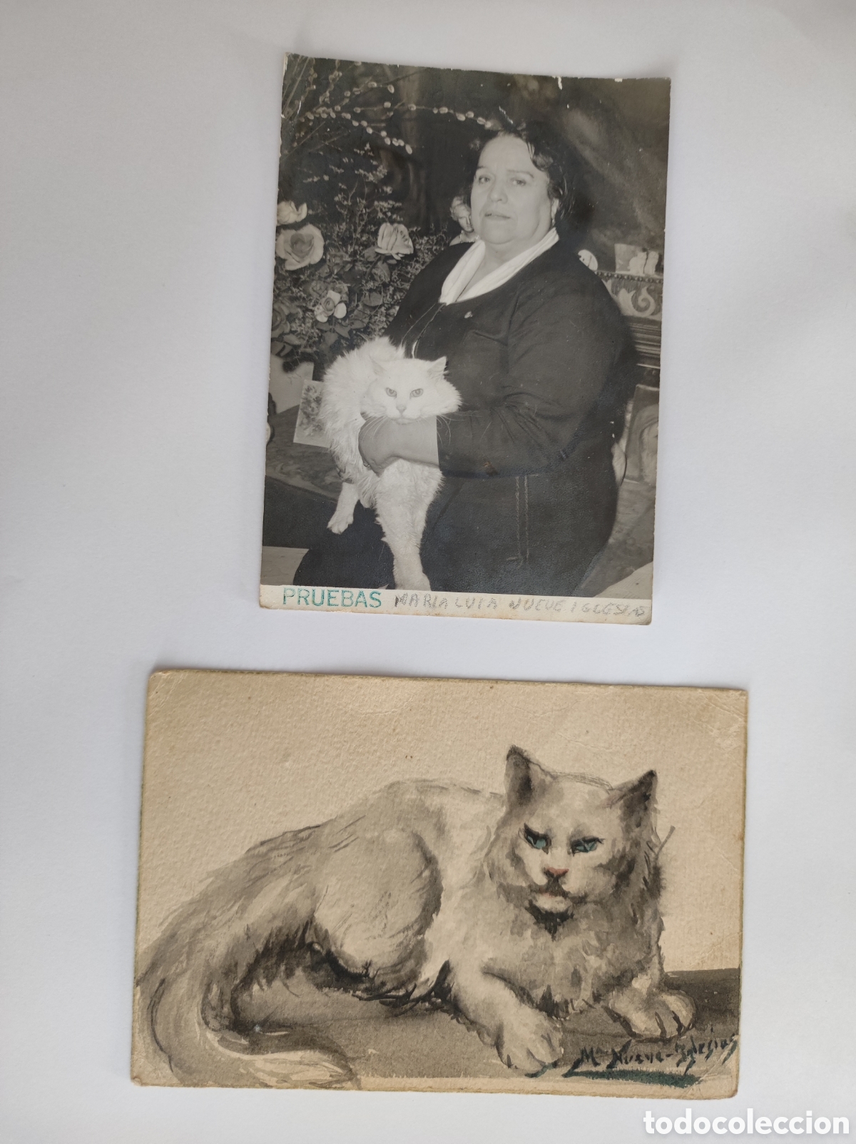 Arte: Antiguo dibujo original de un gato y foto de Mar&iacute;a Nueve-Iglesias Serna pintora de Castellon