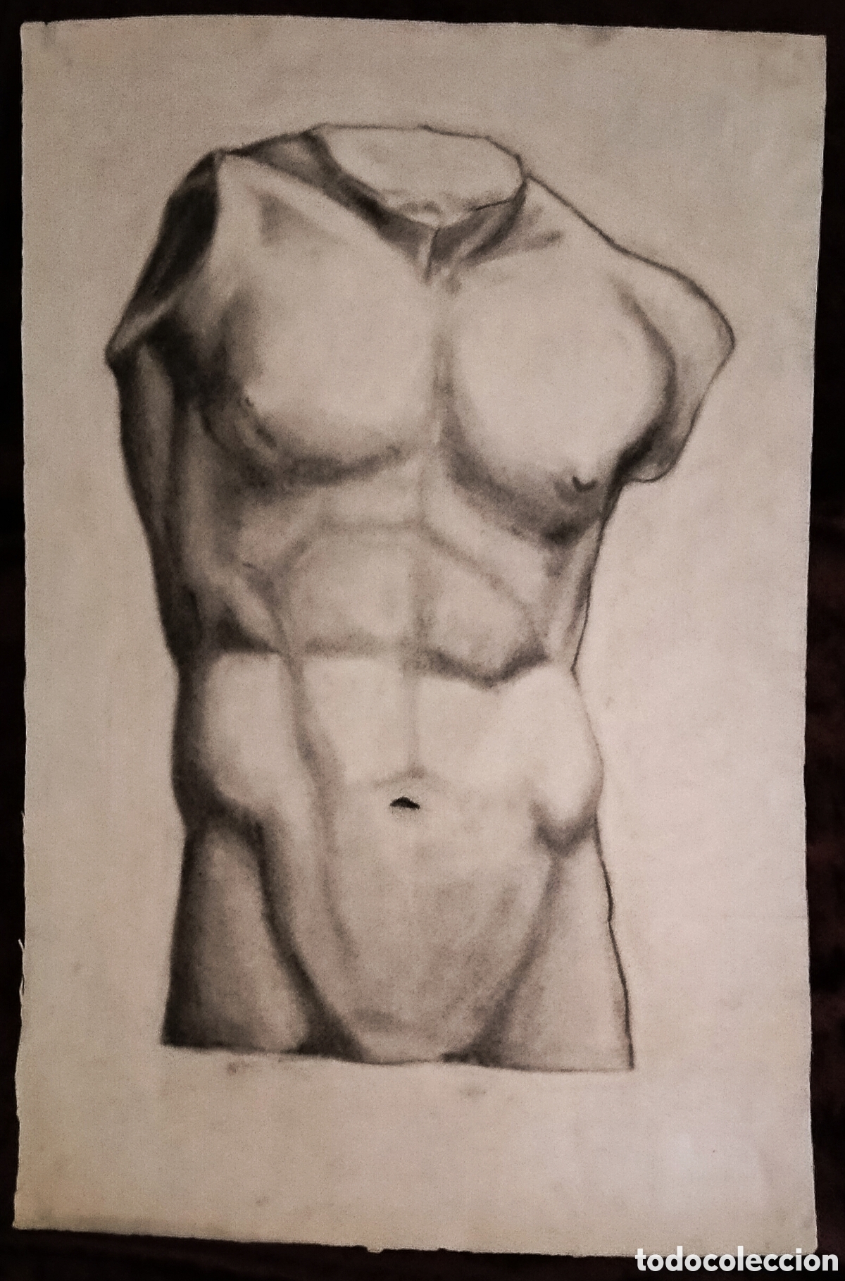 Arte: DIBUJO a CARBONCILLO / (REALISMO). * TORSO DE ESTATUA MASCULINO *. AUTOR&Iacute;A: JUAN MART&Iacute;N T. (A&ntilde;os 50)