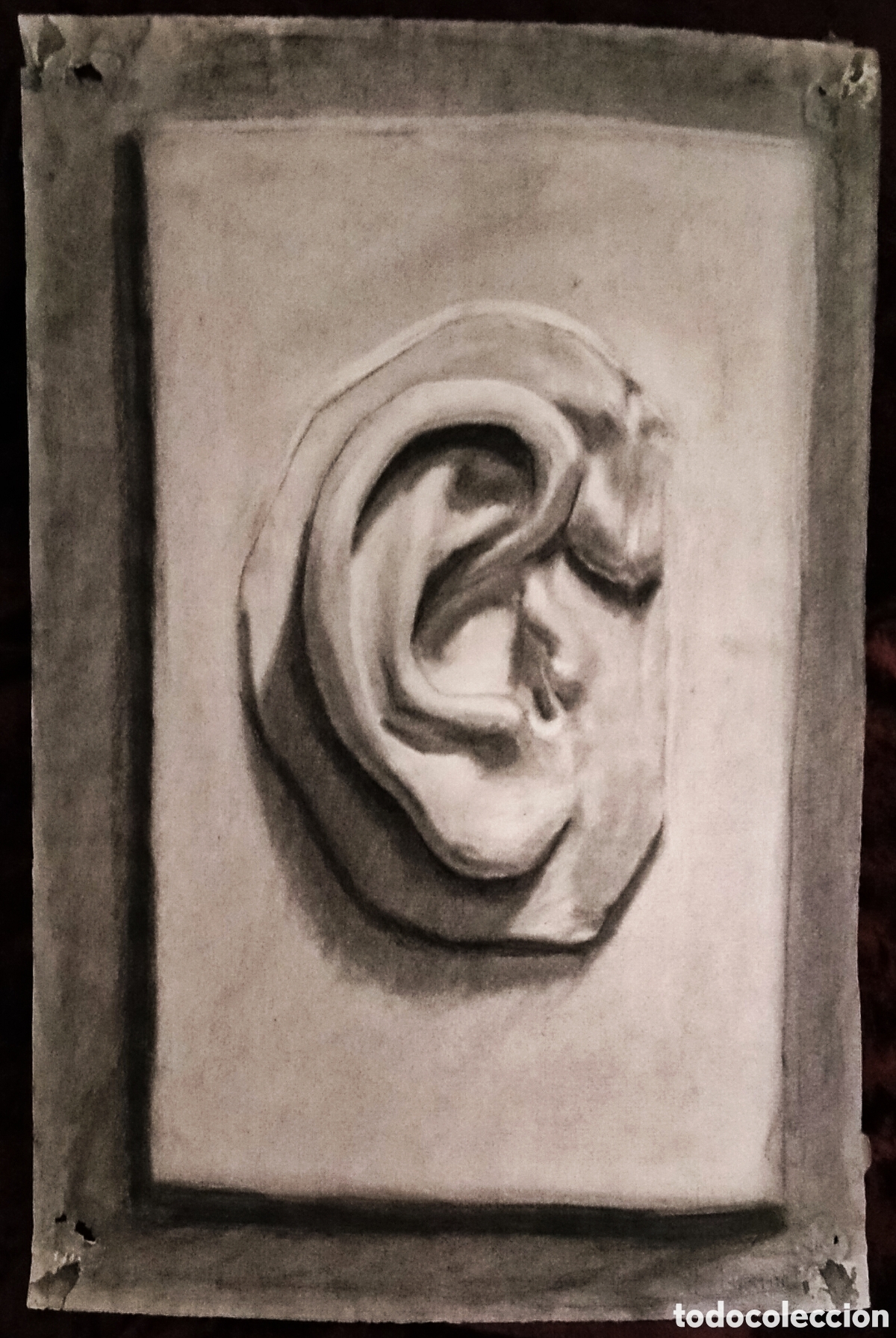 Arte: DIBUJO a CARBONCILLO / (REALISTA). * OREJA DE ESTATUA *. FDO.: J. MART&Iacute;N T. (A&ntilde;os 50)
