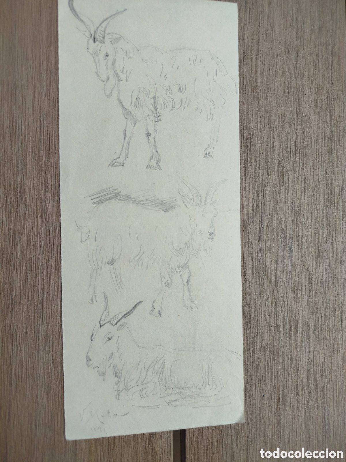 Arte: Vicente Mota. Cabras.