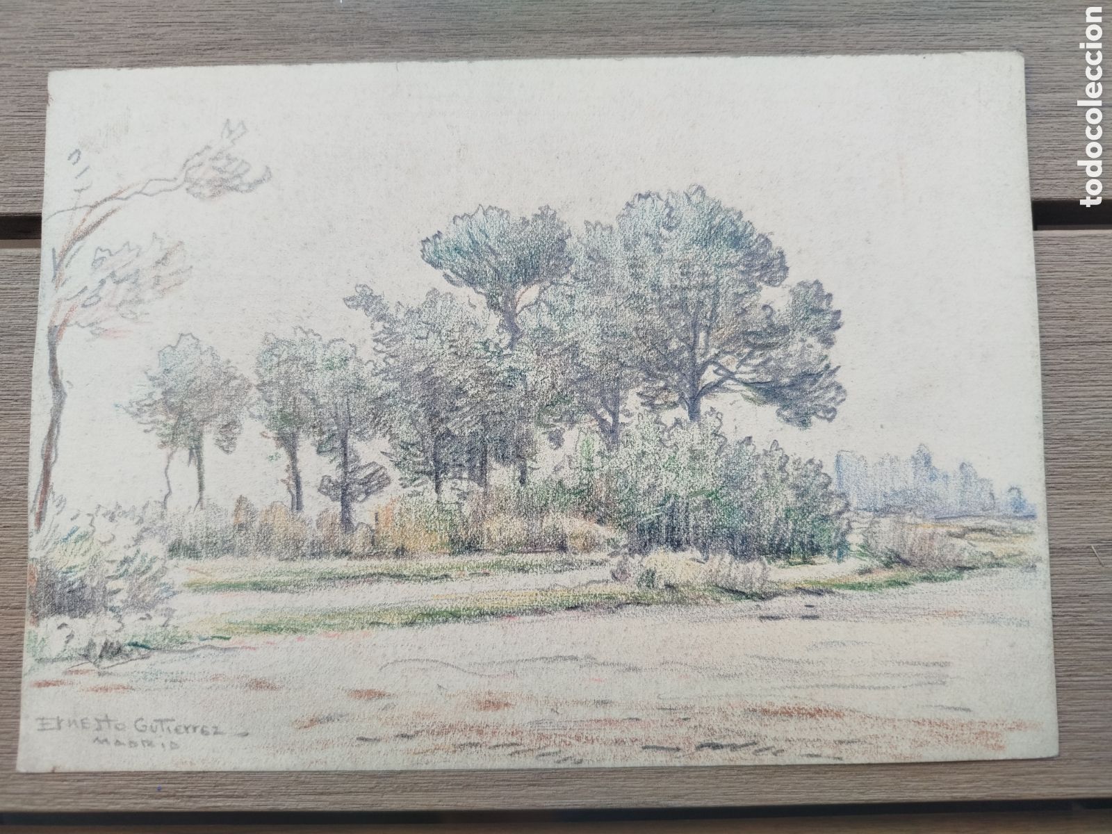 Arte: Ernesto Gutierrez.paisaje