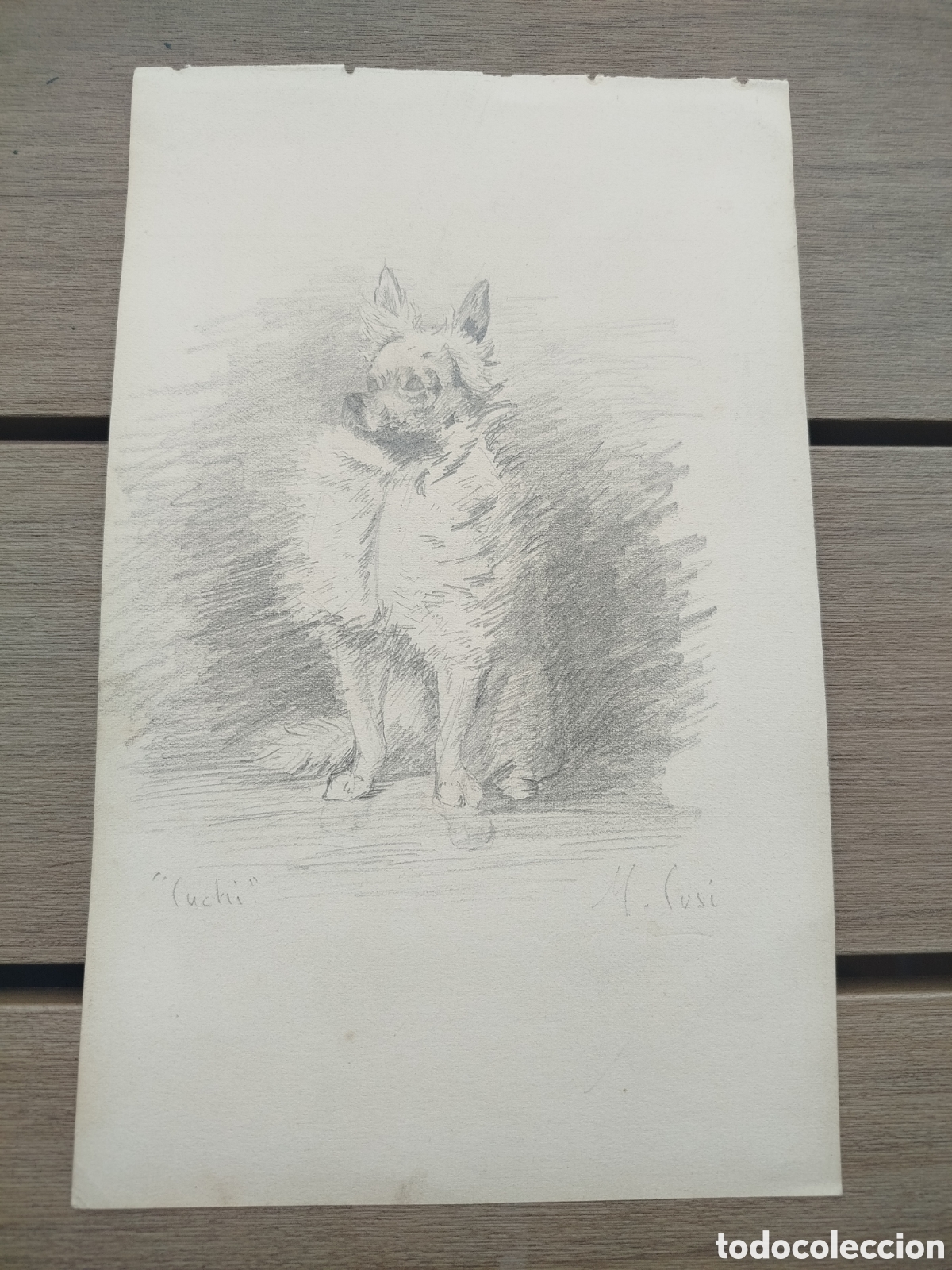 Arte: Manuel cusi. El perro cuchi.