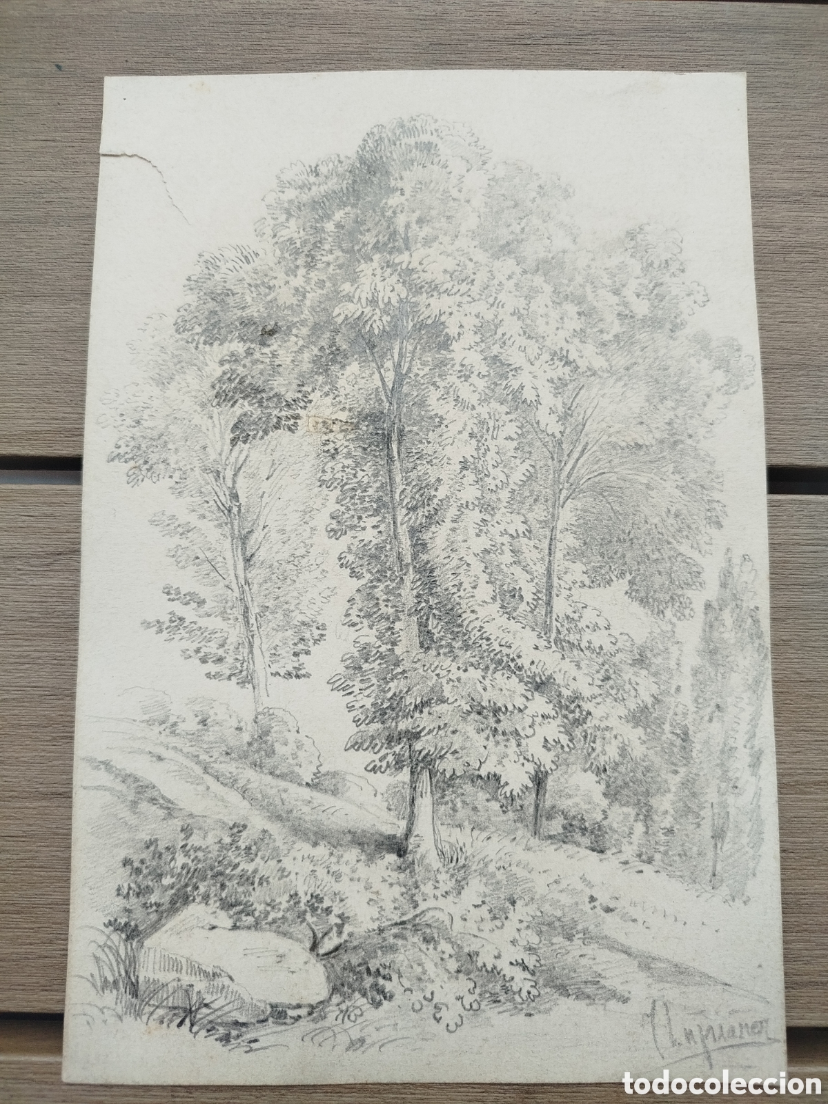 Arte: Jose Lupia&ntilde;ez. Paisaje