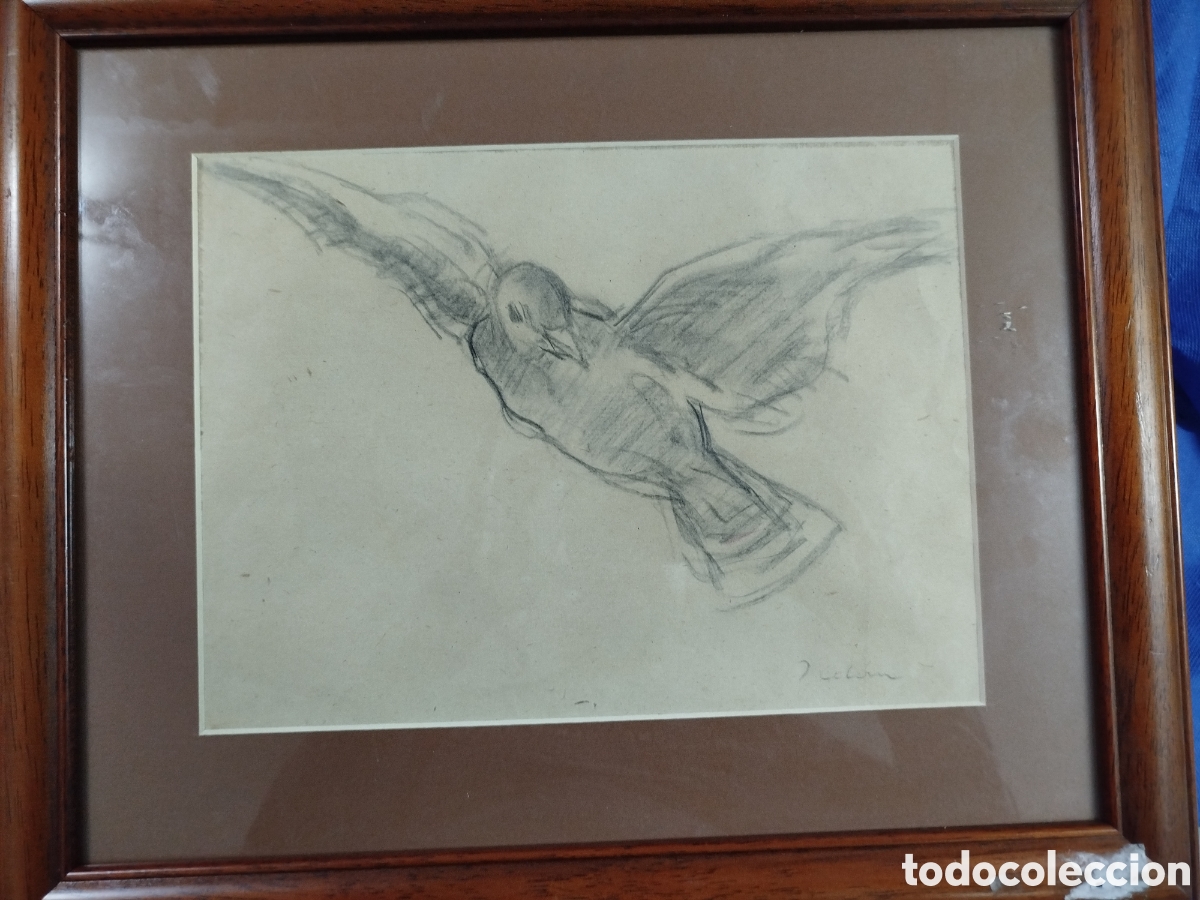 Arte: Joan Colom Agust&iacute;, Colom en vol
