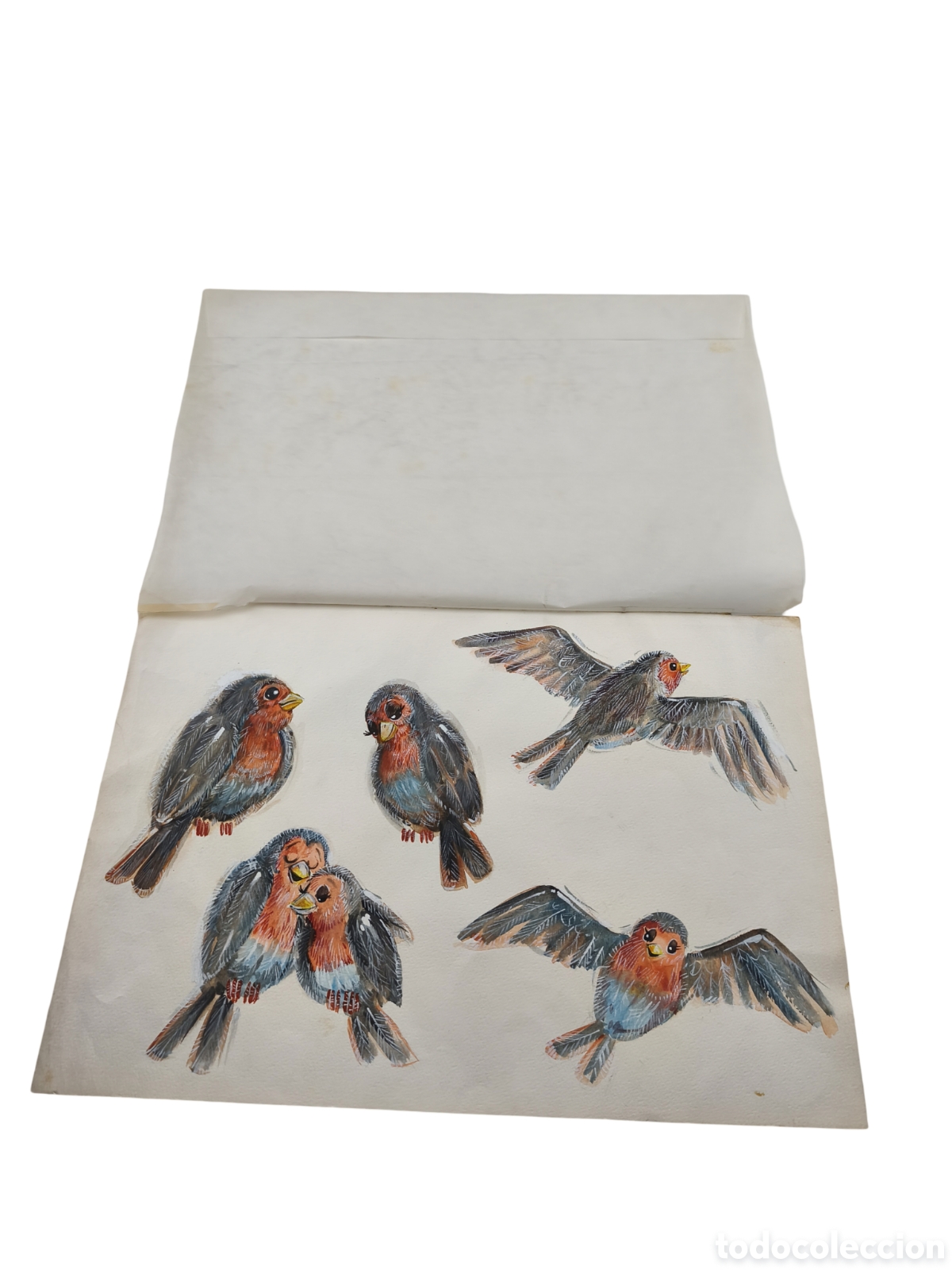 Arte: DELICADA ILUSTRACI&Oacute;N NATURALISTA - ESTUDIO DE AVES - T&Eacute;CNICA MIXTA - 45x30 CM