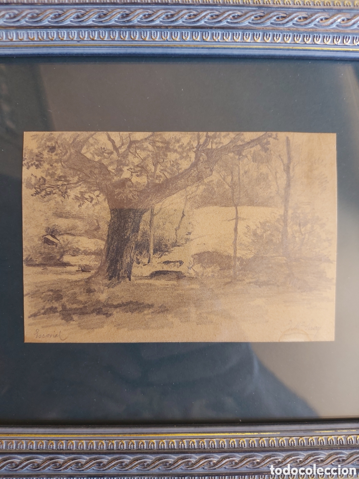 Arte: JOSE M&ordf; SUAY&rdquo;APUNTE AL NATURAL BOSQUE DEL ESCORIAL&rdquo;