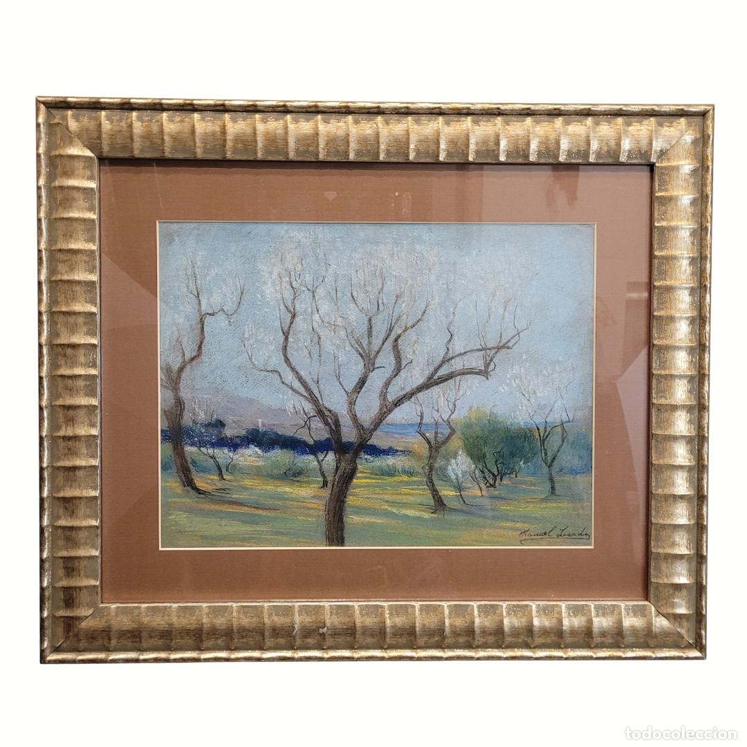 Kunst: Pastel sobre papel &ldquo;Almendros&rdquo;, Manuel Losada, p. s. XX &ndash; Espa&ntilde;a