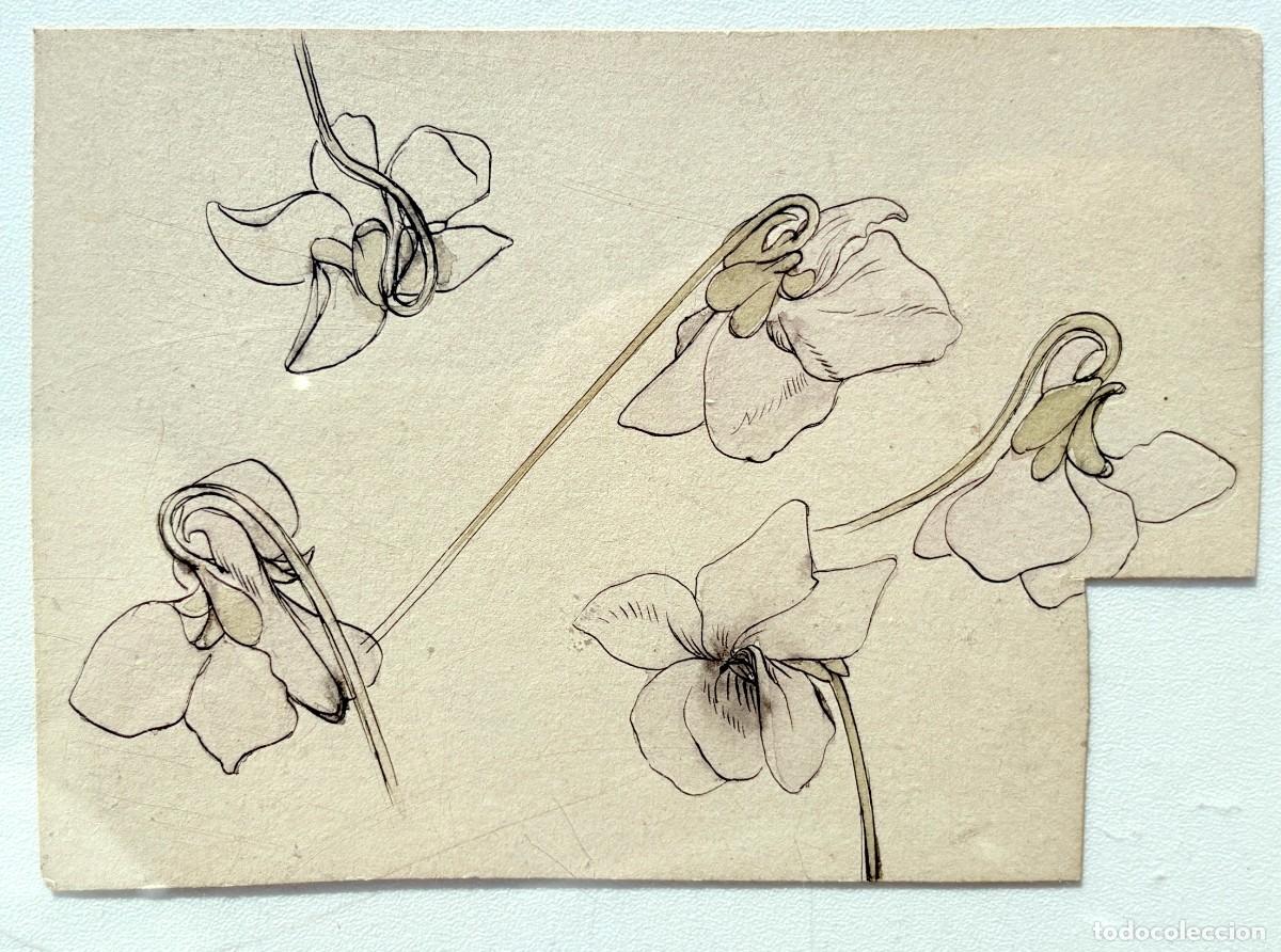 Arte: ALEXANDRE DE RIQUER &mdash; Viola odorata. Tinta y acuarela sobre papel. H. 1895&ndash;1910