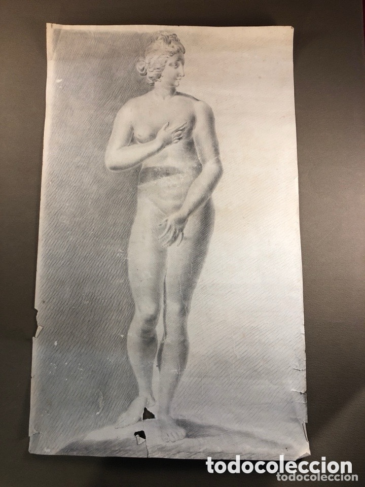 Art: Estudio anat&oacute;mico femenino de inspiraci&oacute;n Venus cl&aacute;sica, siglo XIX