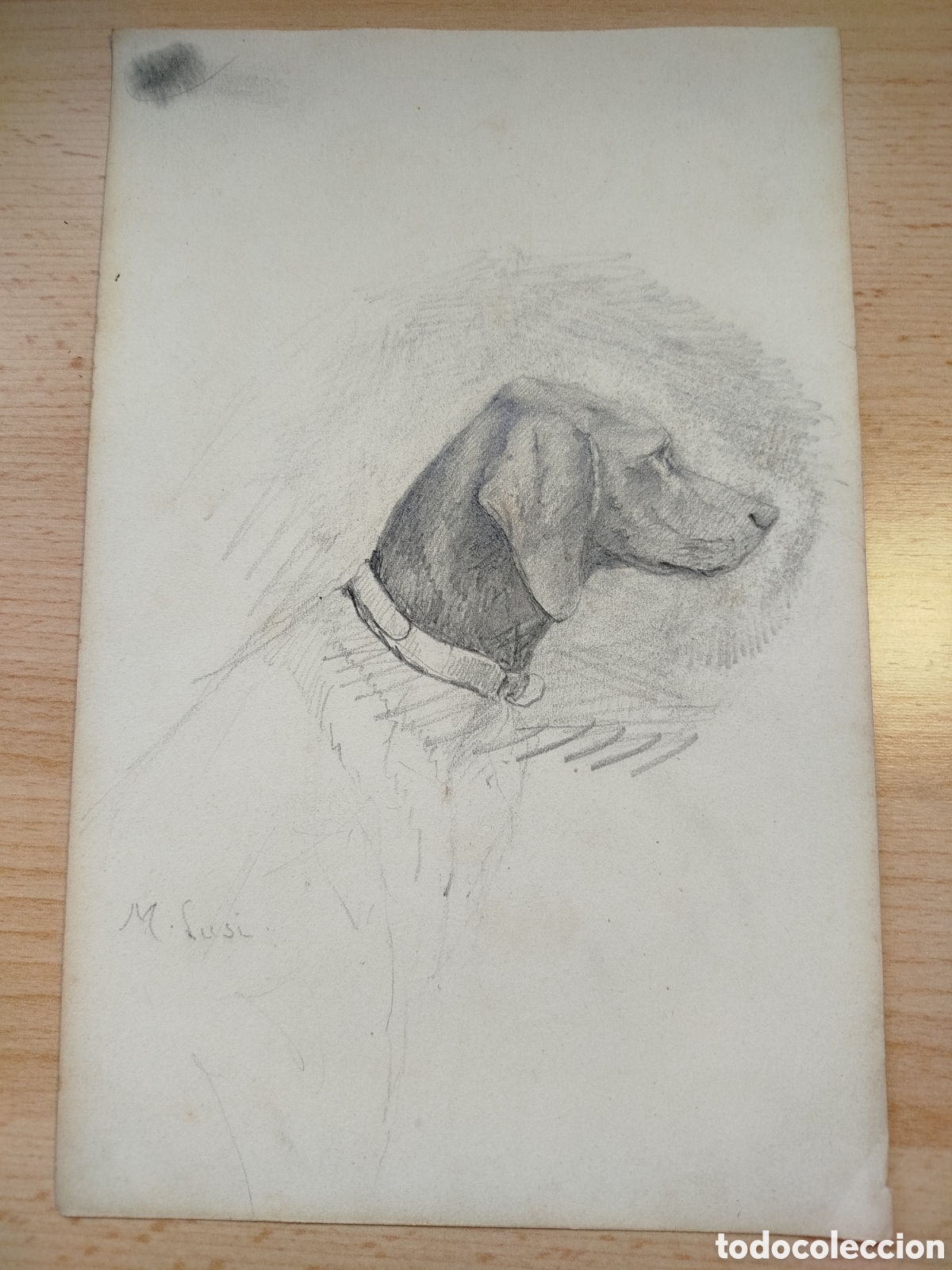 Kunst: Manuel Cusi. Cabeza de perro.