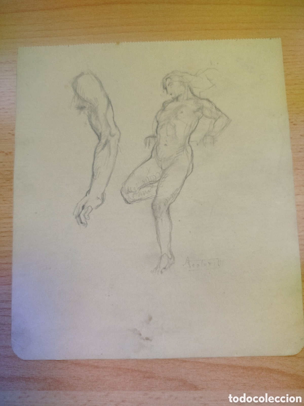 Arte: N&eacute;stor. Estudios de figuras. - Foto 1
