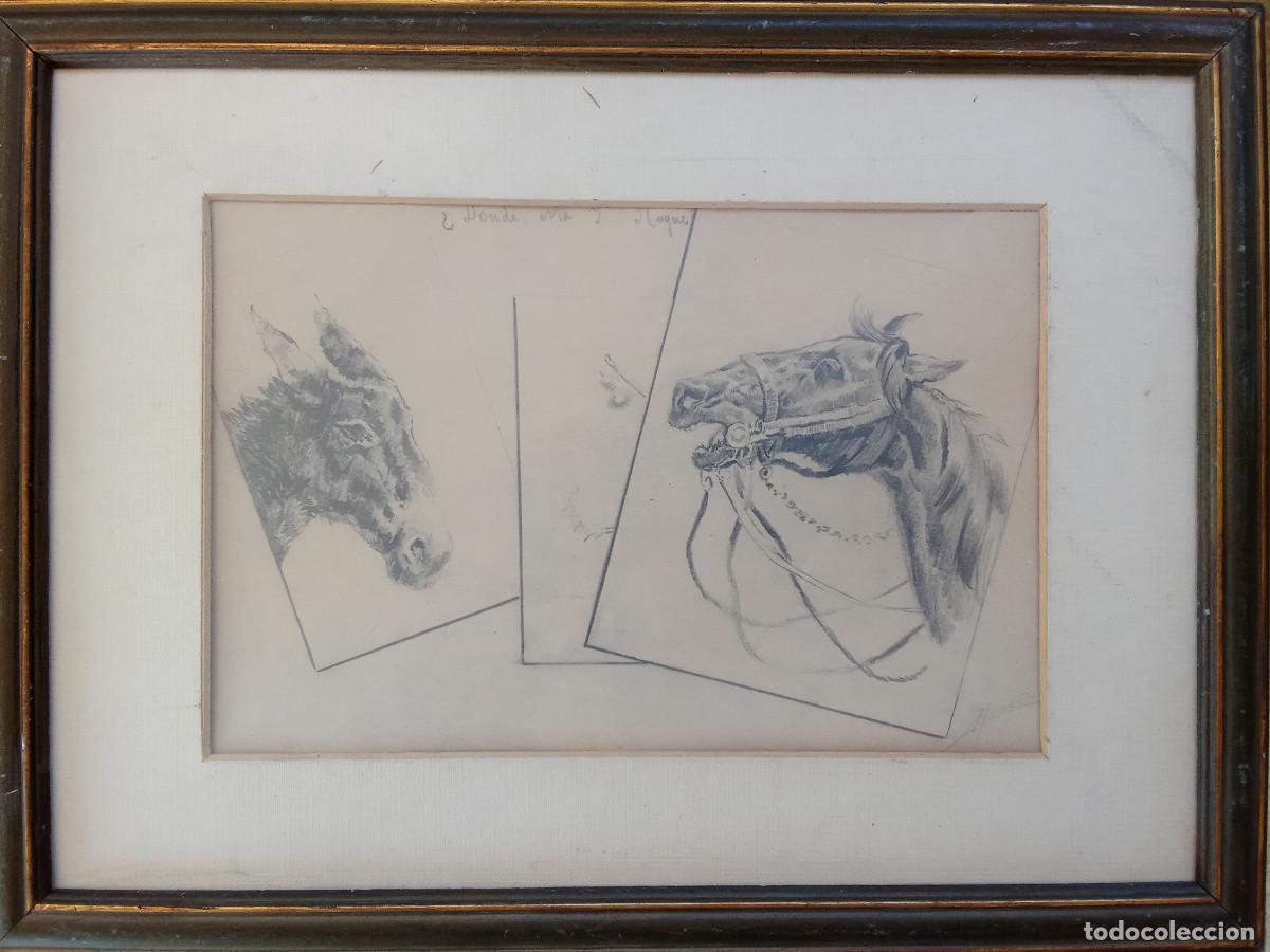 Arte: MORELL- ESTUDIOS DE EQUINOS- - Foto 1