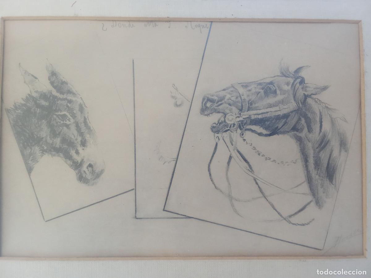 Arte: MORELL- ESTUDIOS DE EQUINOS- - Foto 2