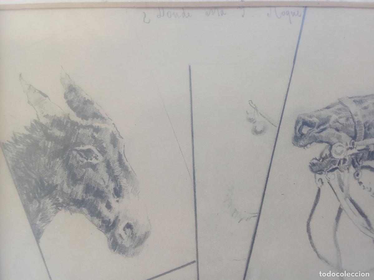 Arte: MORELL- ESTUDIOS DE EQUINOS- - Foto 3