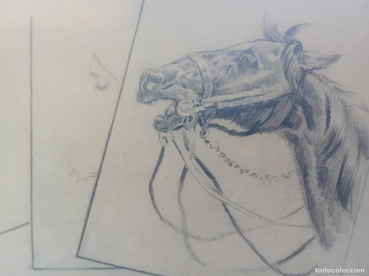 Arte: MORELL- ESTUDIOS DE EQUINOS- - Foto 4