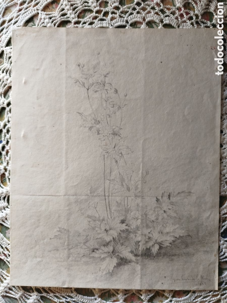 Arte: Mar&iacute;a Luisa de Riva. Bot&aacute;nica.