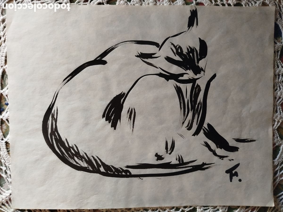 Arte: An&oacute;nimo. Estudio de gato. - Foto 1