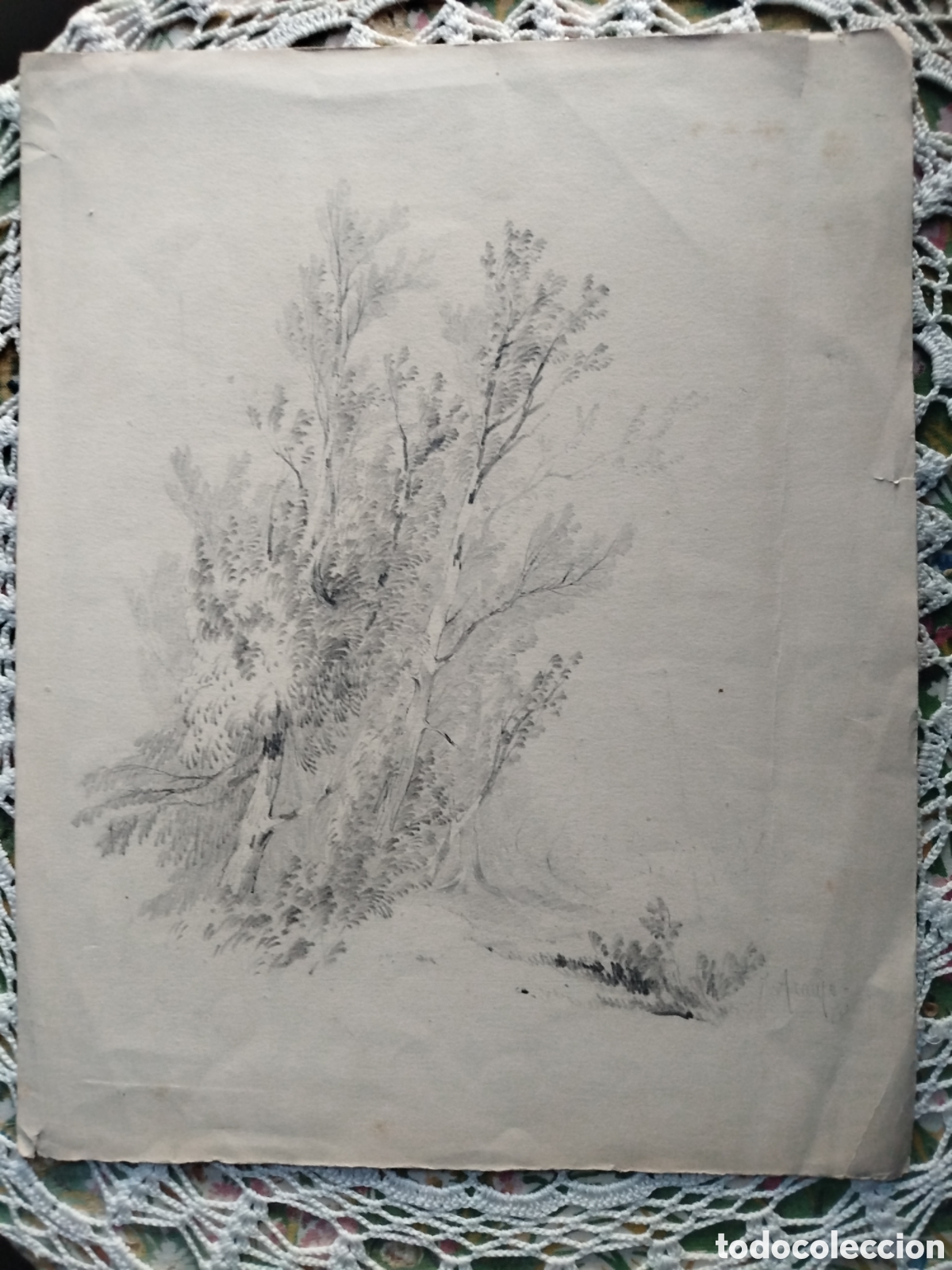 Arte: Joaqu&iacute;n Araujo. Arboles. - Foto 1