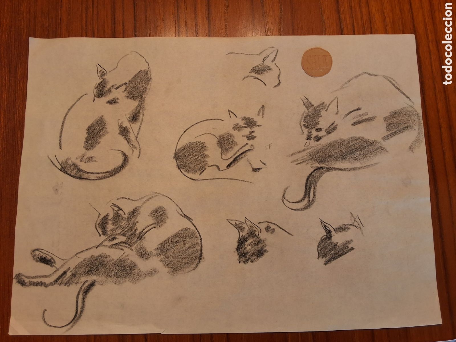 Arte: Emilio Sala. Estudio de gatos.