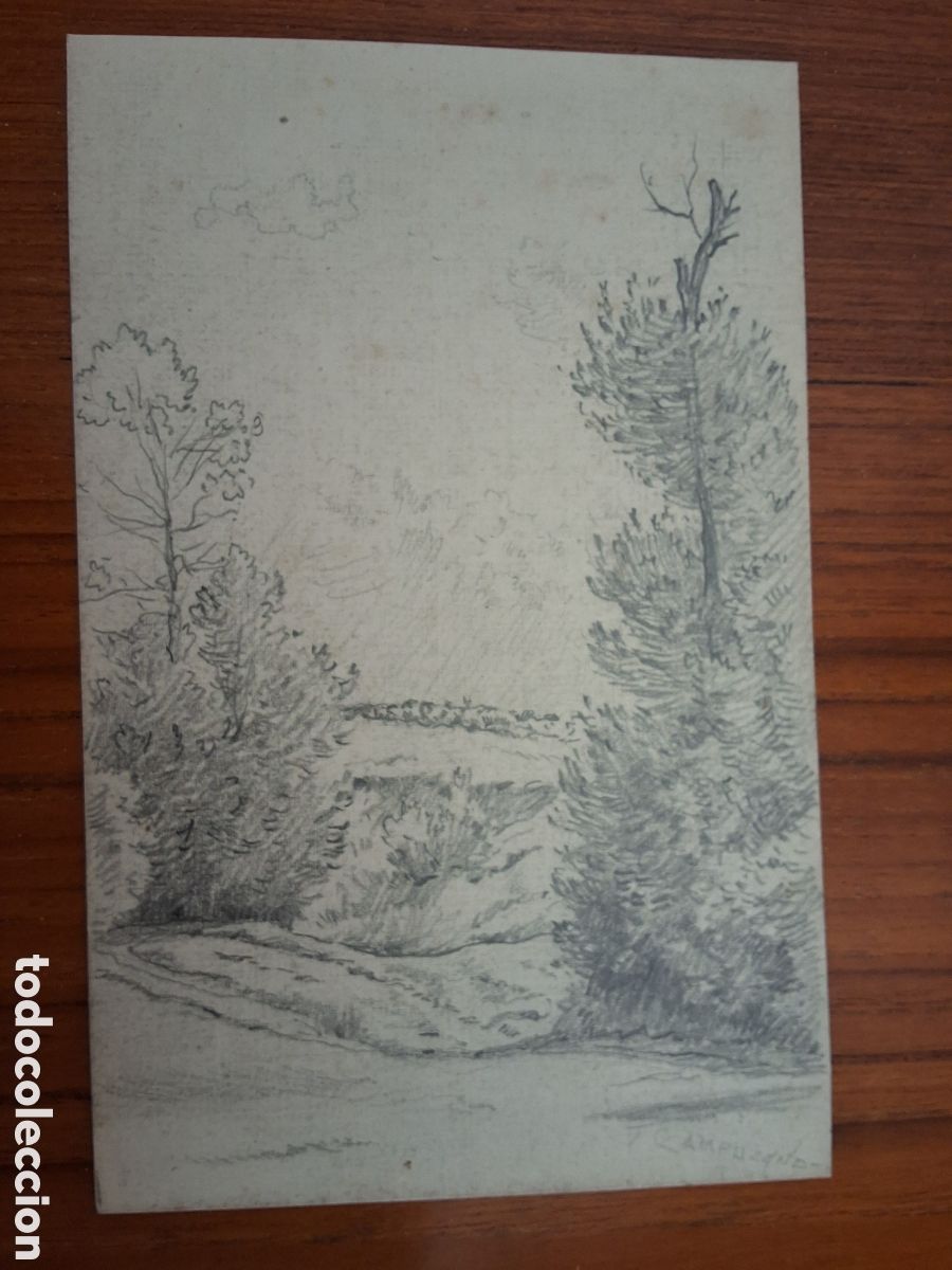Arte: Tomas Campuzano. Paisaje.