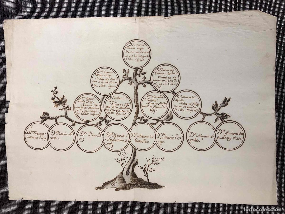 Arte: ARBOL GENEALOGICO Y ESCUDO FAMILIA GARCIA DIEGO. PALENCIA, A&Ntilde;O 1730