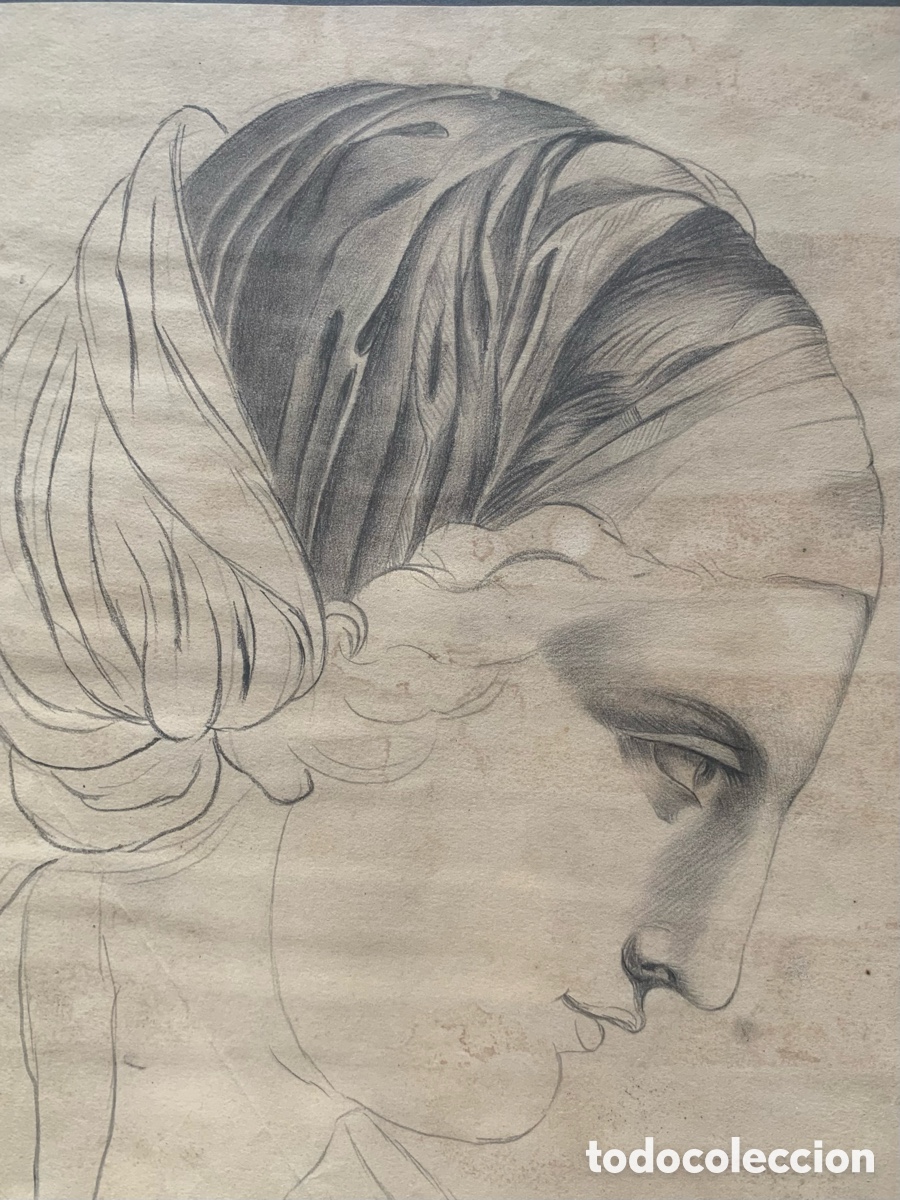 Arte: Dibujo cabeza cl&aacute;sica. Cecilio Pizarro