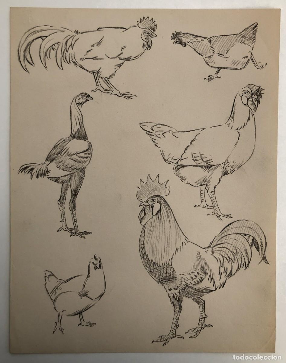 Arte: DIBUJO ORIGINAL 1950's - Gallos, gallinas, gallinero: Animales de granja
