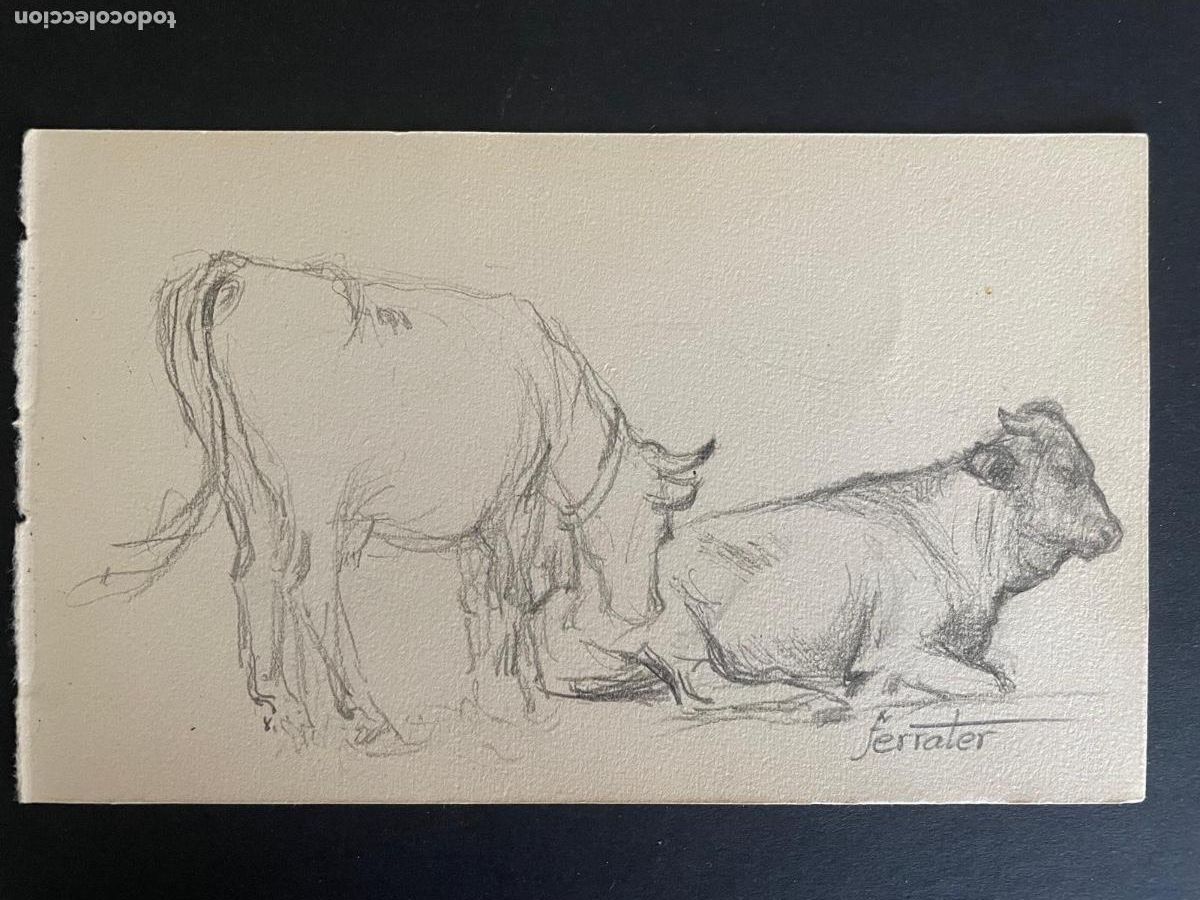 Arte: DIBUJO A LAPIZ FIRMADO FERRATER