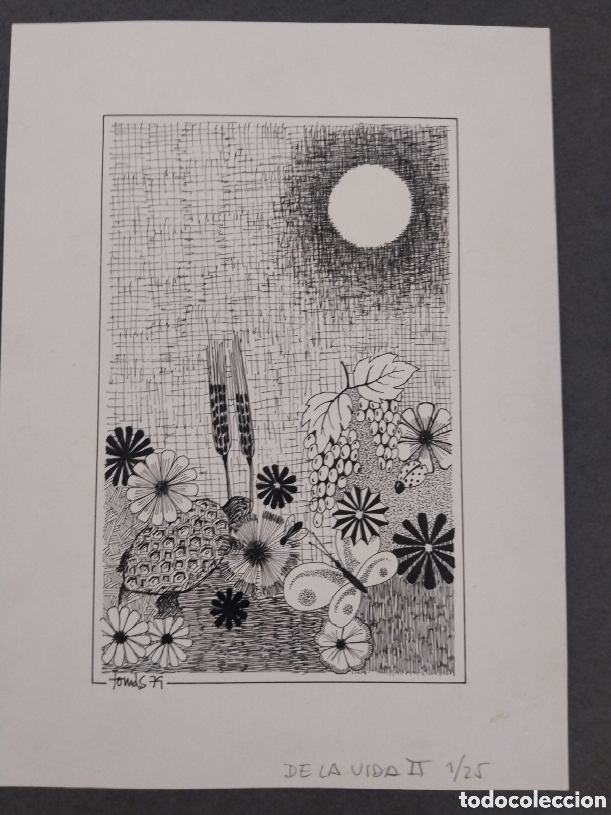 Arte: Dibujo a mano alzada 1979