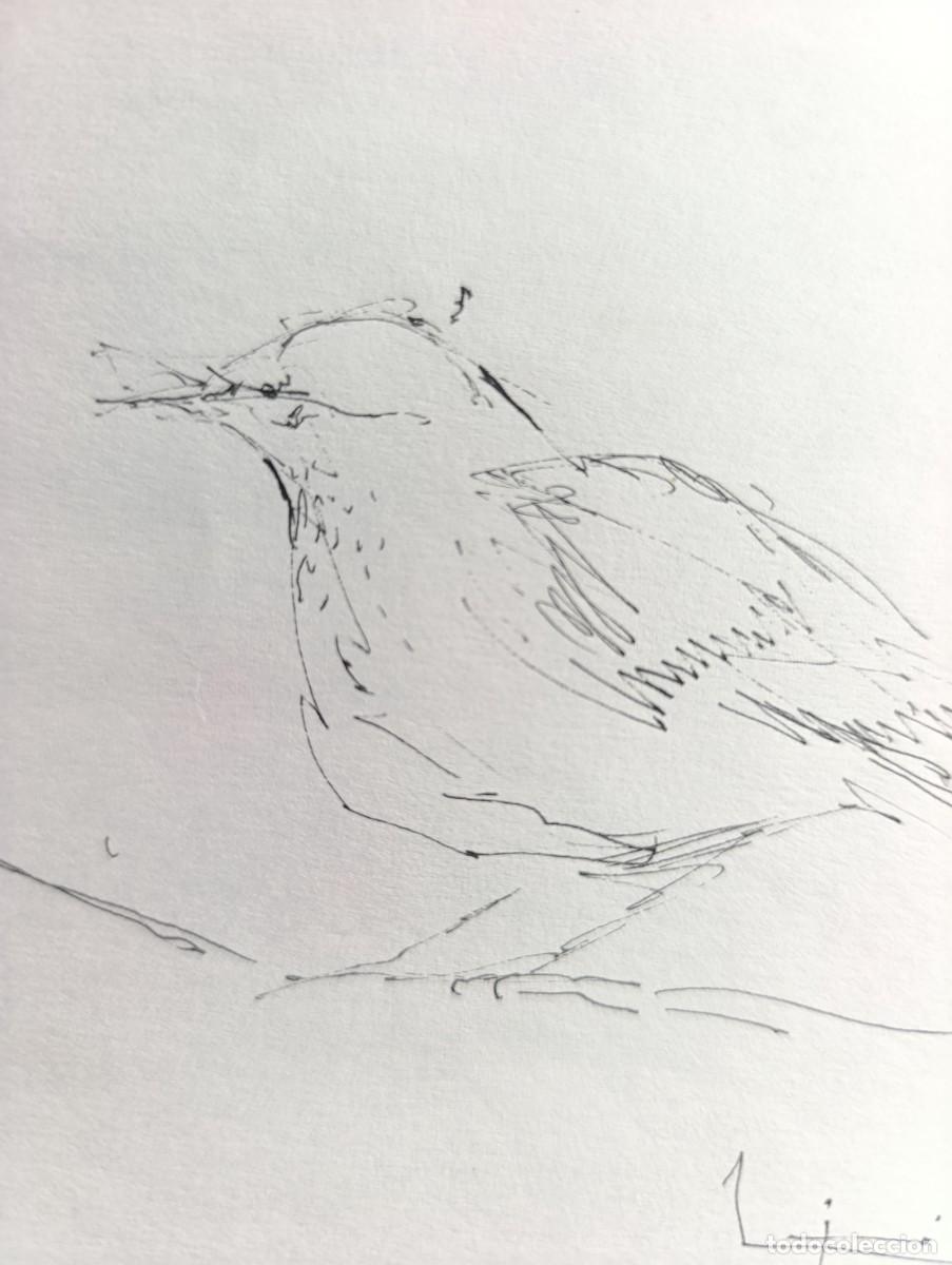 Arte: P&Aacute;JARO QUIETO DE GINES LIEBANADI