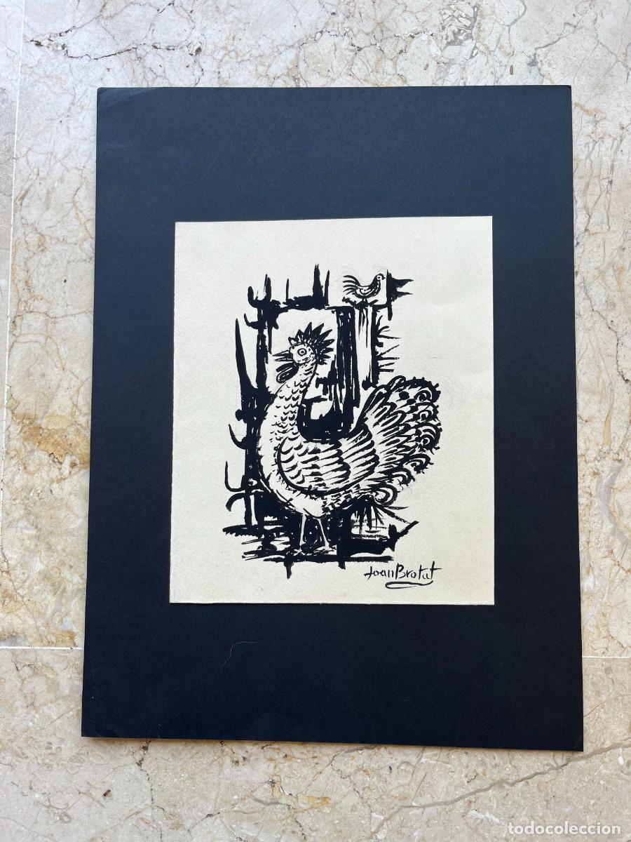 Arte: Joan Brotat. Dibujo de Gallo en tinta sobre papel.