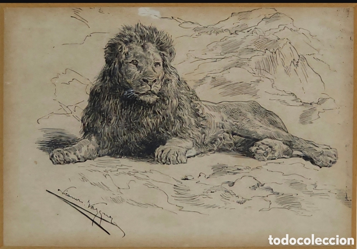 Arte: Dibujo leon. Nicanor Vazquez Ubach