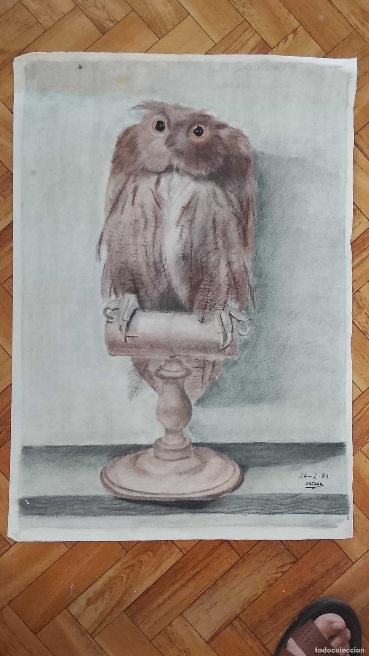 Arte: carboncillo 70 x 50 CM a&ntilde;os 80s dibujo original BUHO A MANO arte decoracion - ARTISTA FIRMADO GASPAR