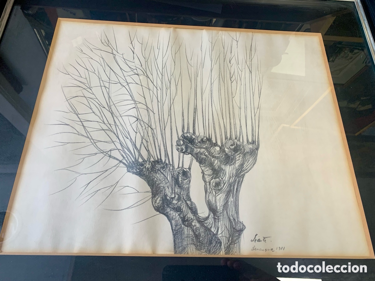Arte: Bartolom&eacute; Liarte Aparicio 1933-1998, dibujo de &aacute;rboles al grafito, Benasque, 38x31 obra y 58x51 con