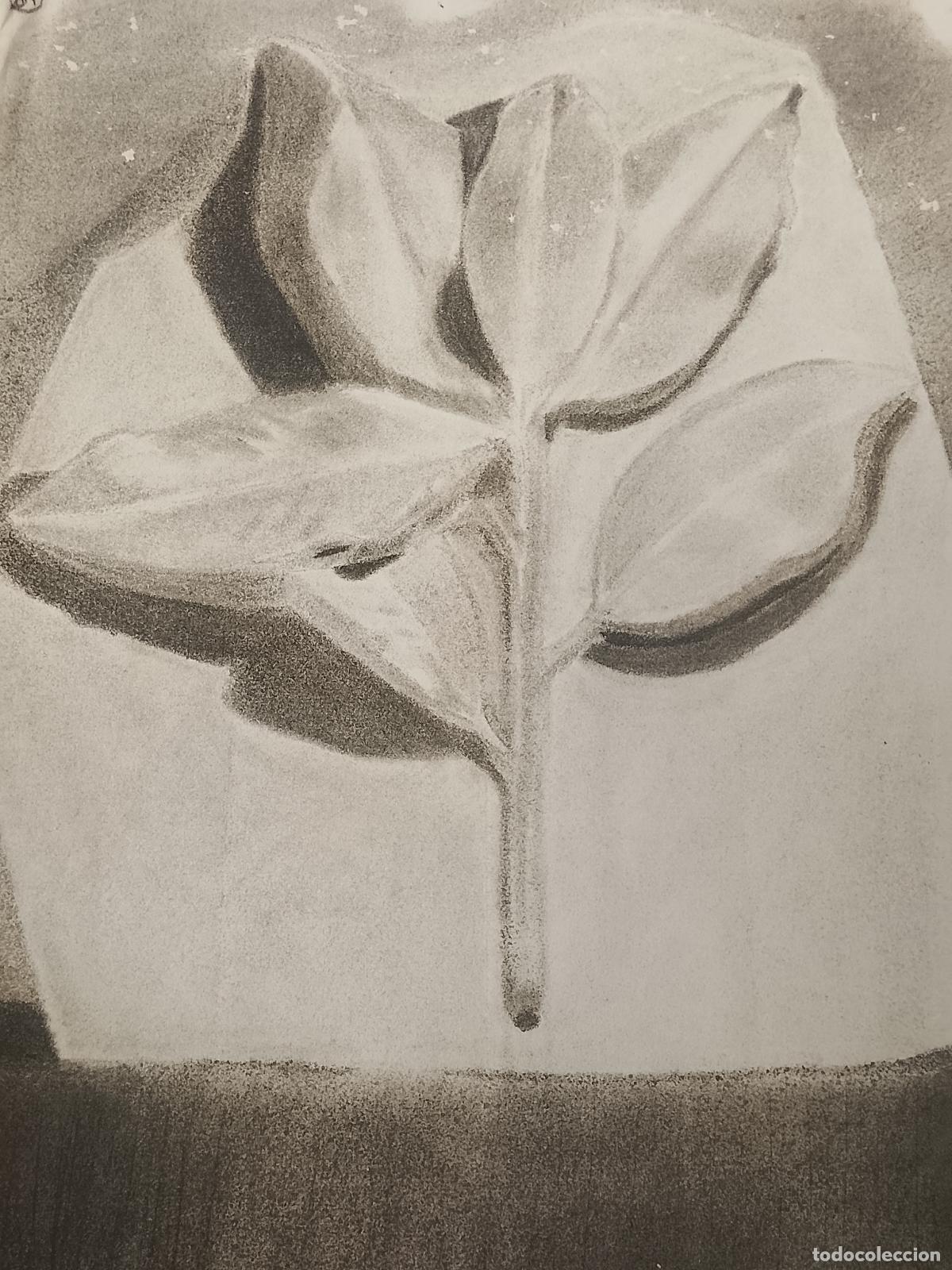 Arte: 50 x 32.5 carboncilla pintada a mano arte VEGETACION . Firmado Gaspar
