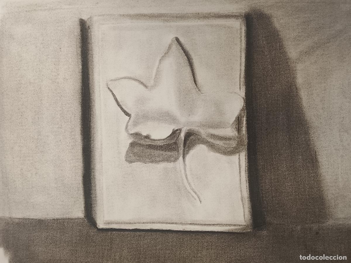 Arte: 50 x 32.5 carboncilla pintada a mano arte VEGETACION . Firmado Gaspar