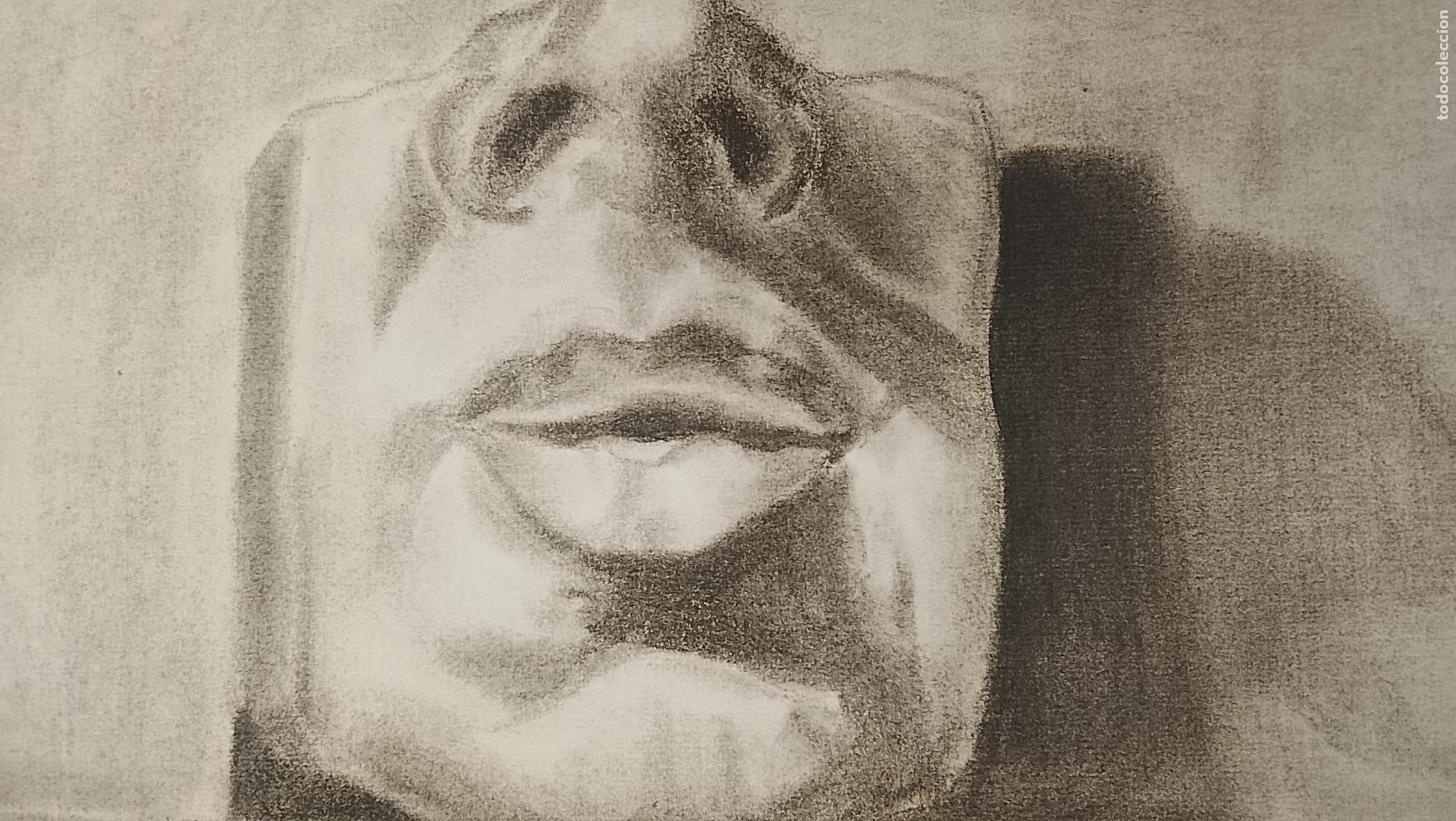 Arte: 50 x 32.5 carboncilla pintada a mano arte ANATOMIA ROSTRO CARA HOMBRE . Firmado Gaspar