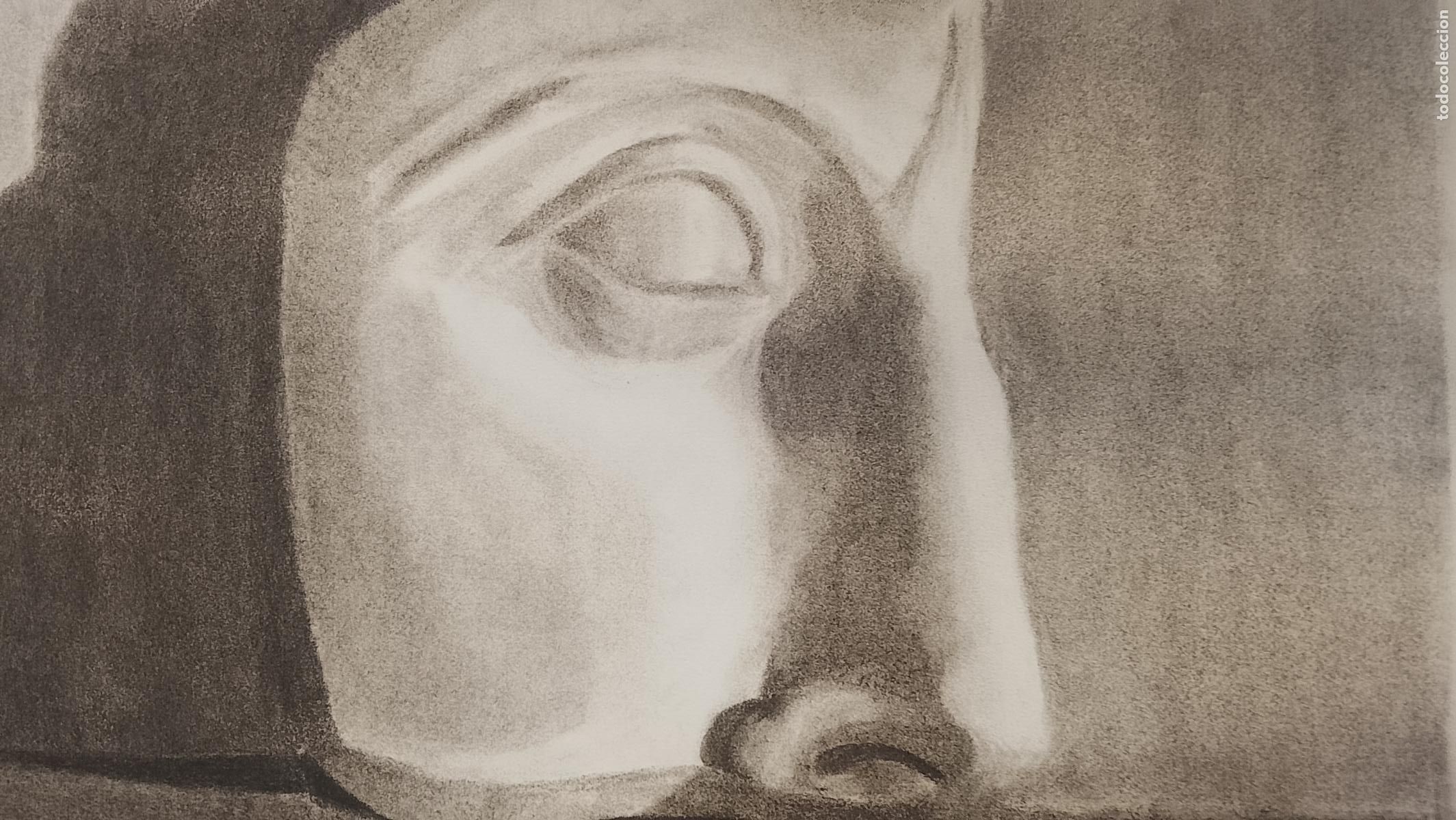 Arte: 50 x 32.5 carboncilla pintada a mano arte mujer busto rostro diosa . Firmado Gaspar