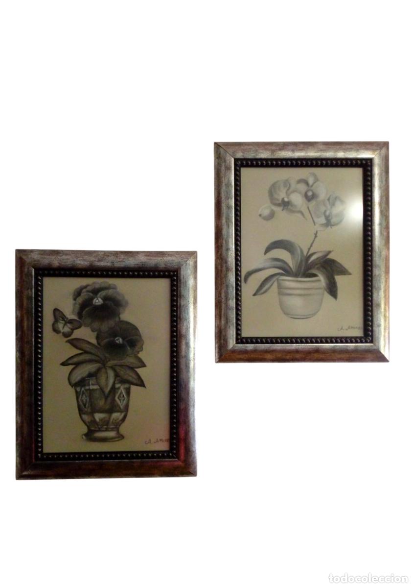 Arte: Dos dibujos enmarcados,dibujos carboncillo, cuadros carboncillo, dibujos enmarcados, cuadro flores