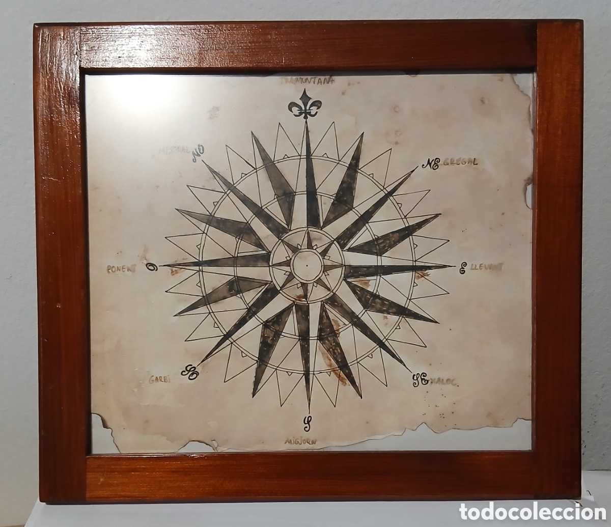 Arte: Dibujo Rosa de los vientos. Marco de madera y cristal