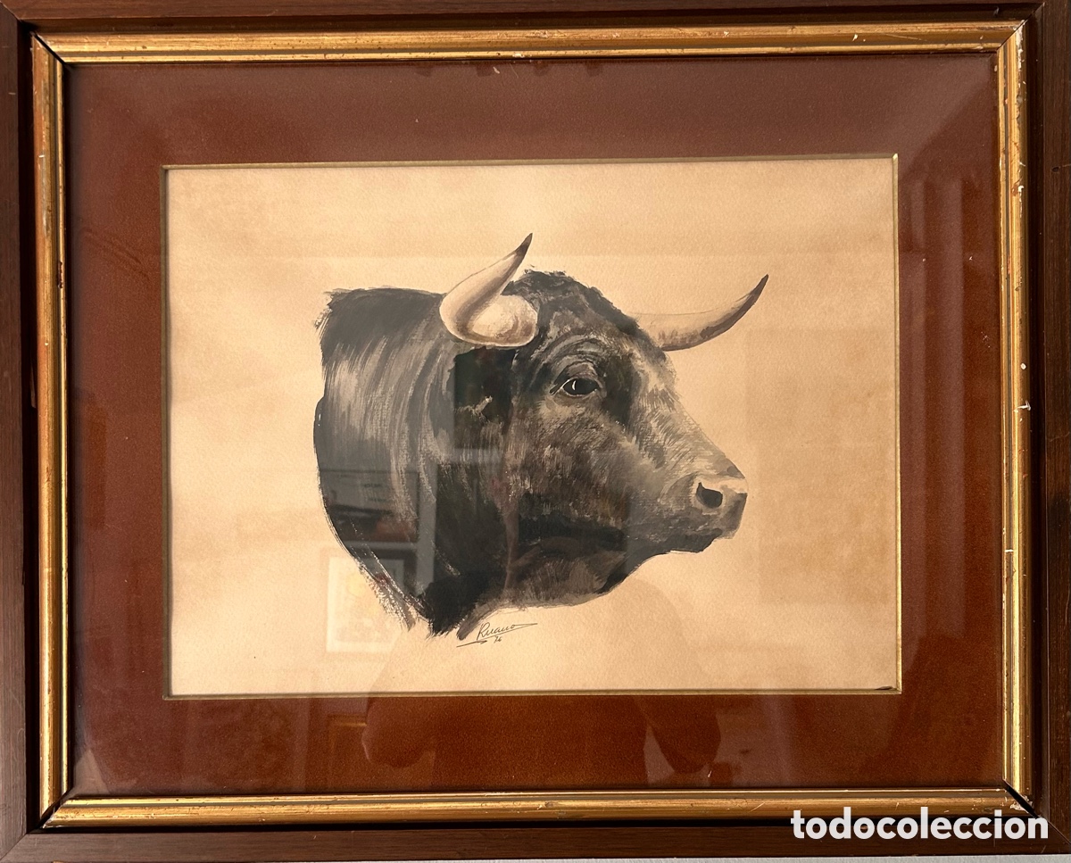 Art: Ruano (firmado y fechado 1976) &ndash; Estudio de cabeza de toro bravo