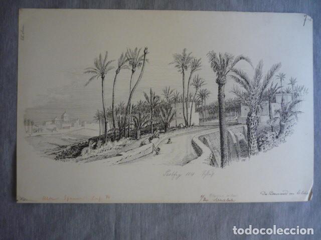 Arte: ELCHE ALICANTE EL PALMERAL DIBUJO A PLUMILLA ORIGINAL CONSTANTIN UHDE ARQUITECTO ALEMAN 1888 1889