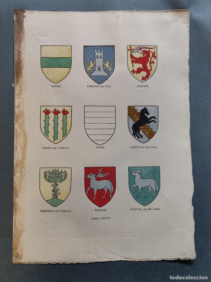 Arte: Escudos Her&aacute;ldicos de Apellidos Hist&oacute;ricos PAPIOL PARATGE PARDINA PARDO PARES PARETS PARELLA PASCUAL