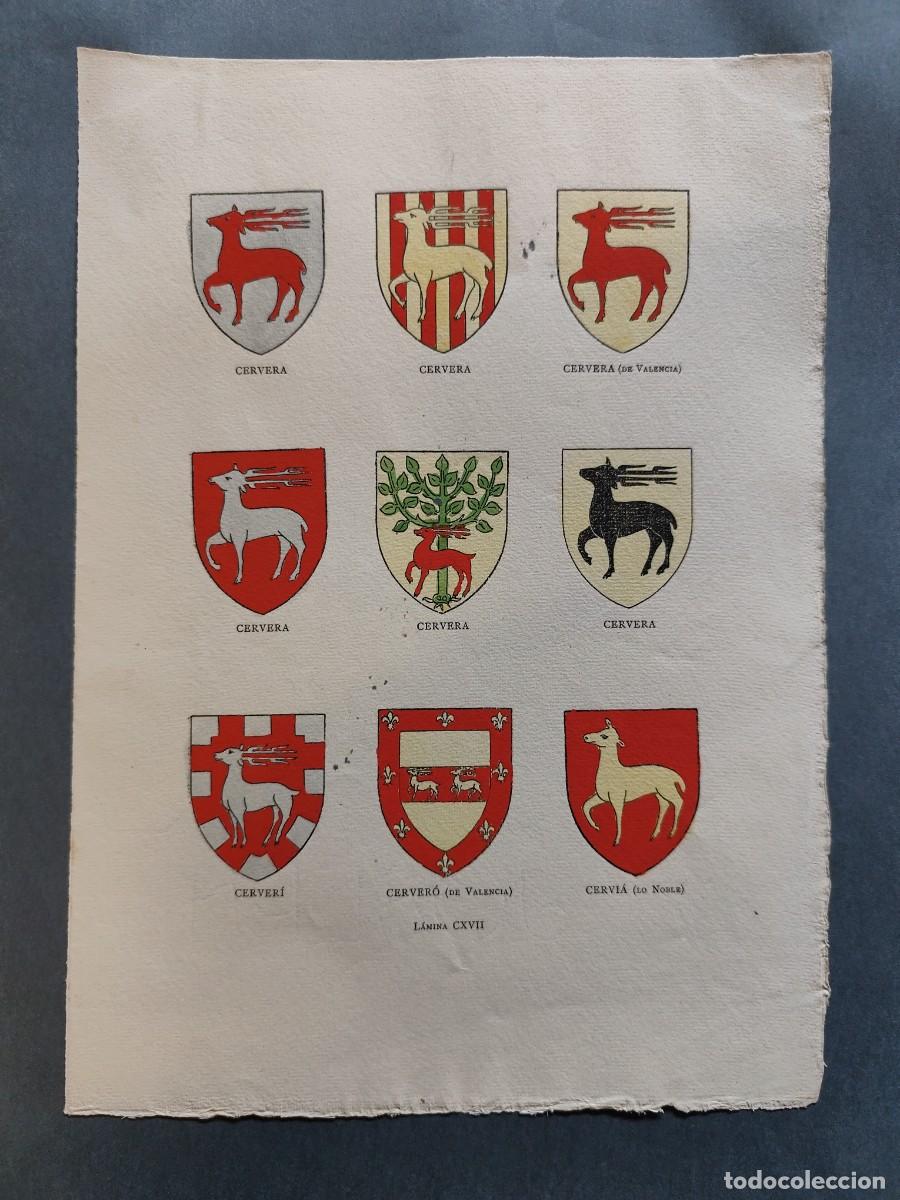 Arte: Escudos Her&aacute;ldicos de Apellidos Hist&oacute;ricos CERVERA ( VARIOS ) CERVERI CERVERO CERVIA