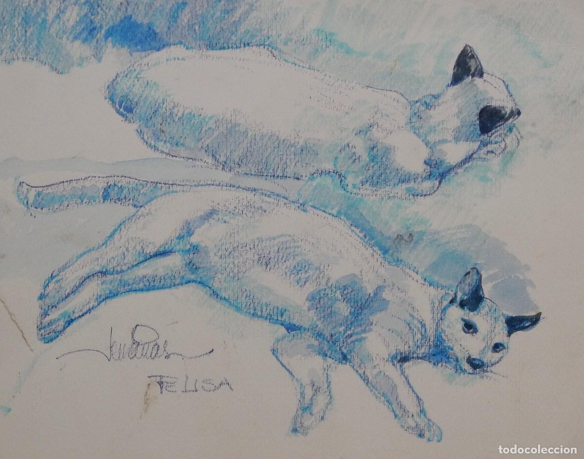 Arte: Carlos Enrique Lencinas G&oacute;mez. L&aacute;piz color sobre papel. &rdquo;Gata Felisa&rdquo;. Firmada a mano.