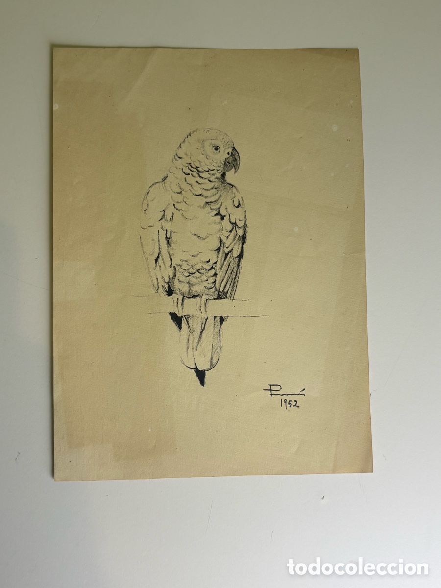 Art: Carles Prun&eacute;s (1937-2017) Dibujo Original Firmado y Fechado 1952