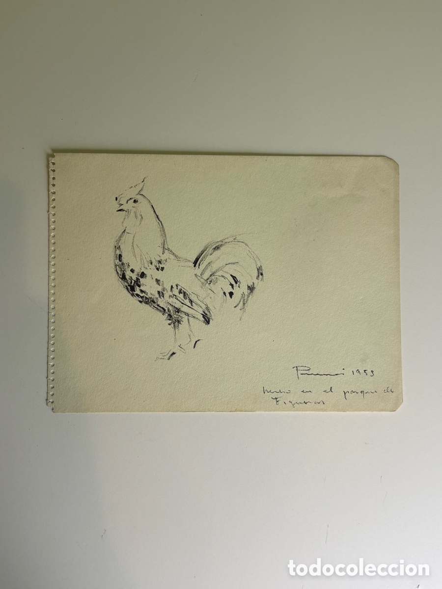 Art: Carles Prun&eacute;s (1937-2017) Dibujo Original Firmado y Fechado 1958 &ndash; Gallo de Parque Zool&oacute;gico