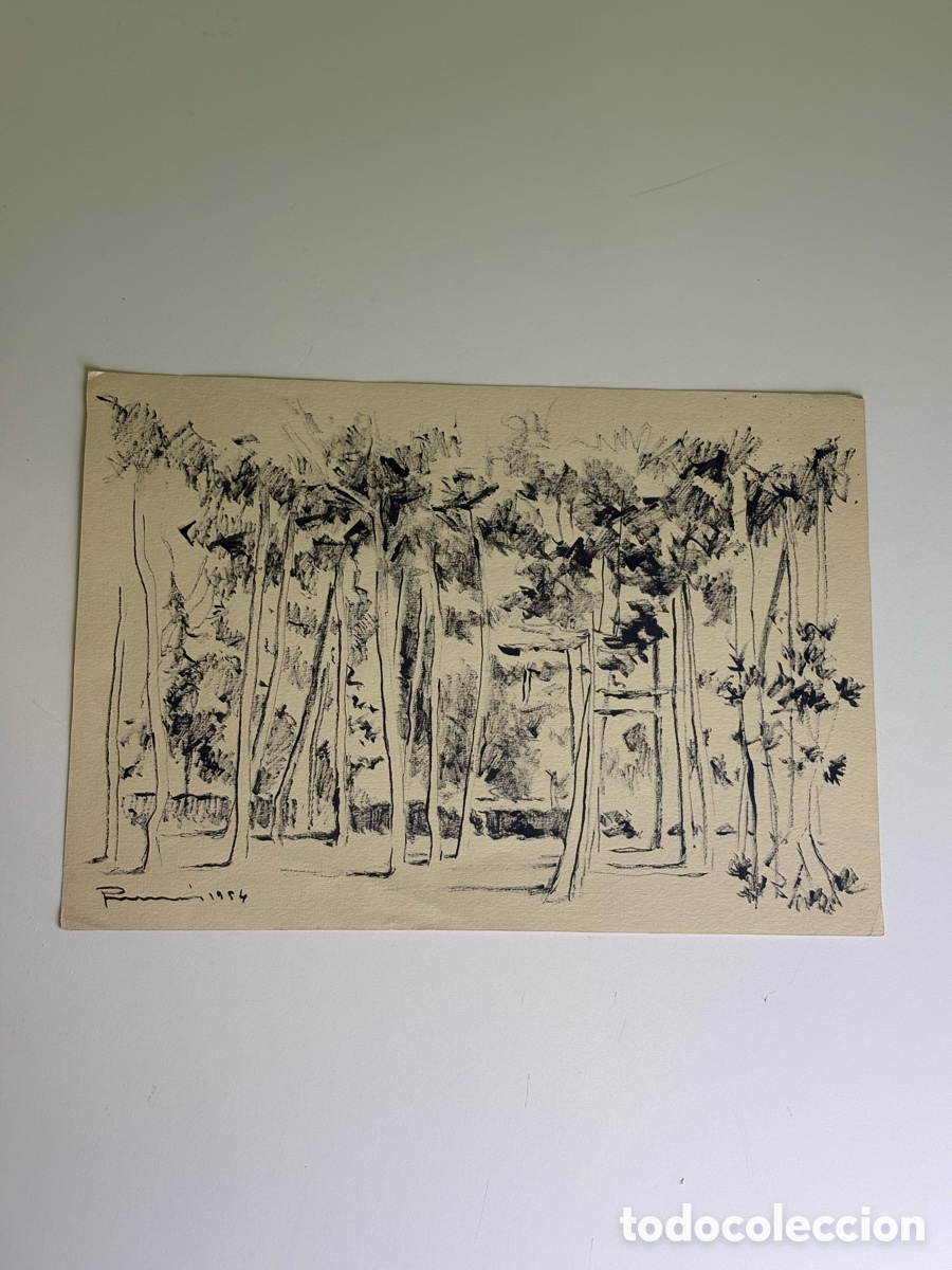 Kunst: Carles Prun&eacute;s (1937-2017) Dibujo Original Firmado y Fechado 1954 &ndash; Bosque de Pinos