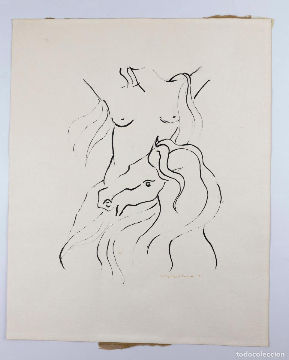 Arte: MESTRES PLANA, 1981. CABALLOS, tinta sobre papel 34x43cm.