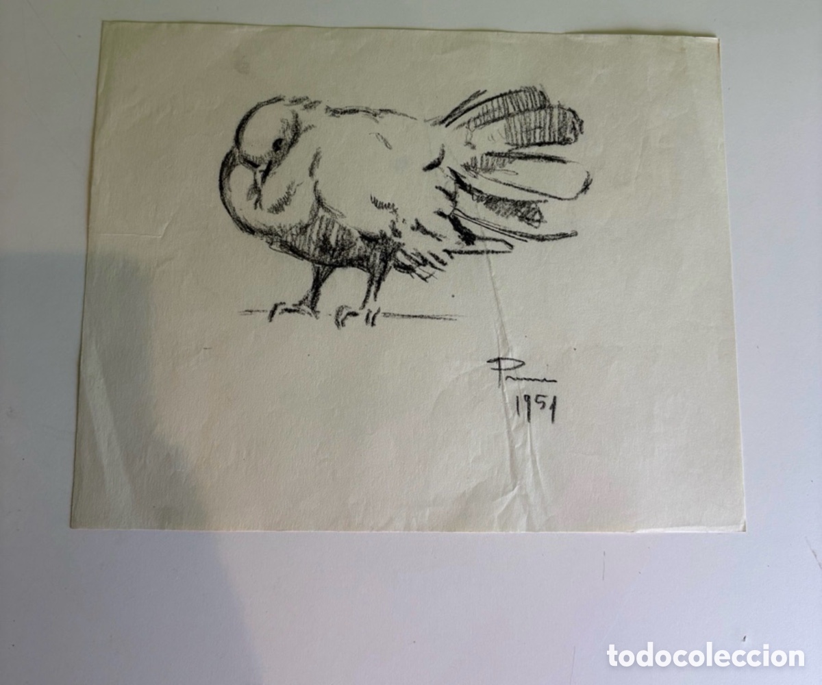 Arte: Carles Prun&eacute;s (1937-2017) Dibujo Original Firmado 1951 &ndash; Estudio de Paloma